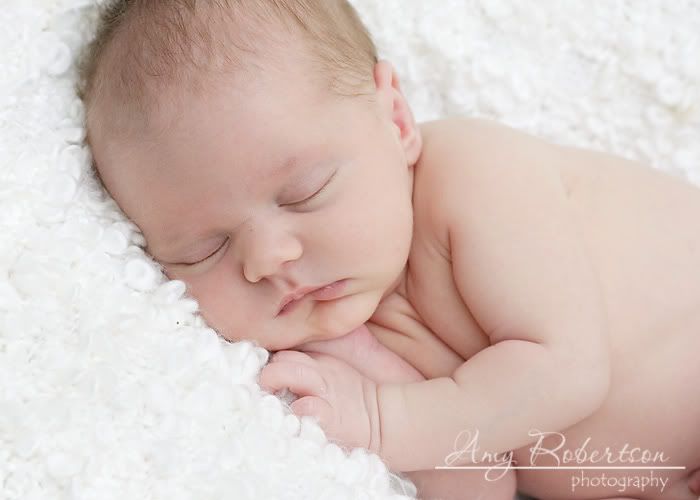 Newborn In Blanket