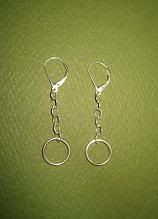 Silver Chain with Circle Earrings