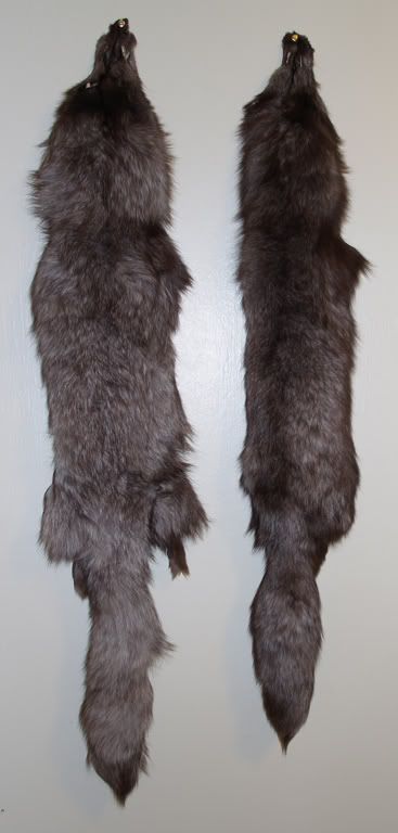 Full View of the Pelts