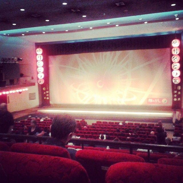 34: Templo del oro, kenninji y danzas de Otoño - 5 semanas en Japón (7)