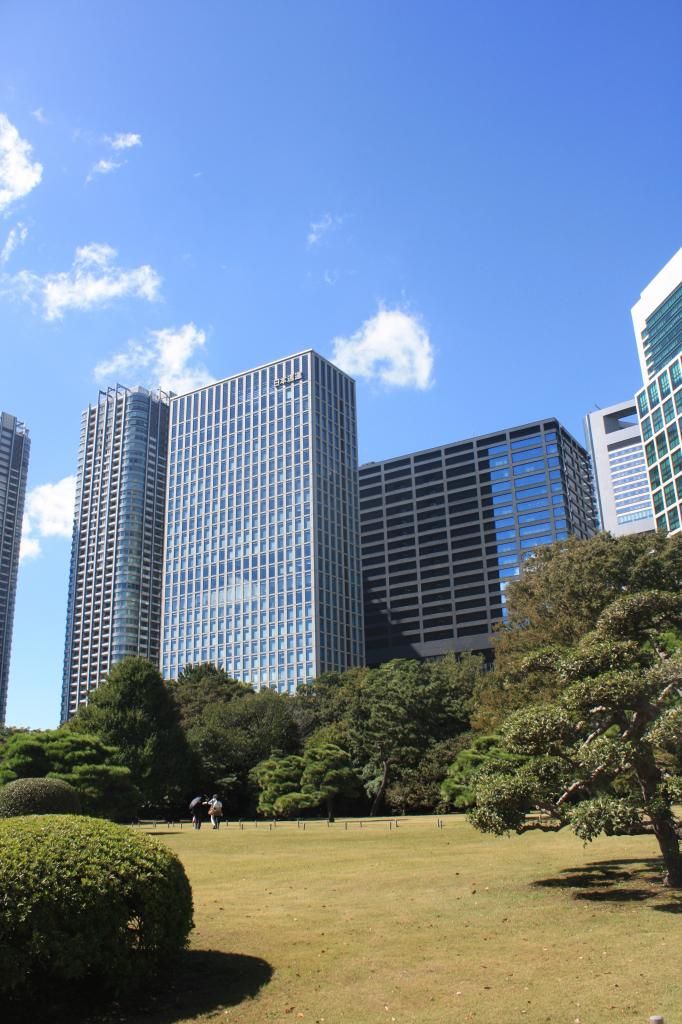 9: Hama Rikyu gardens, Torre de Tokyo - 5 semanas en Japón (6)