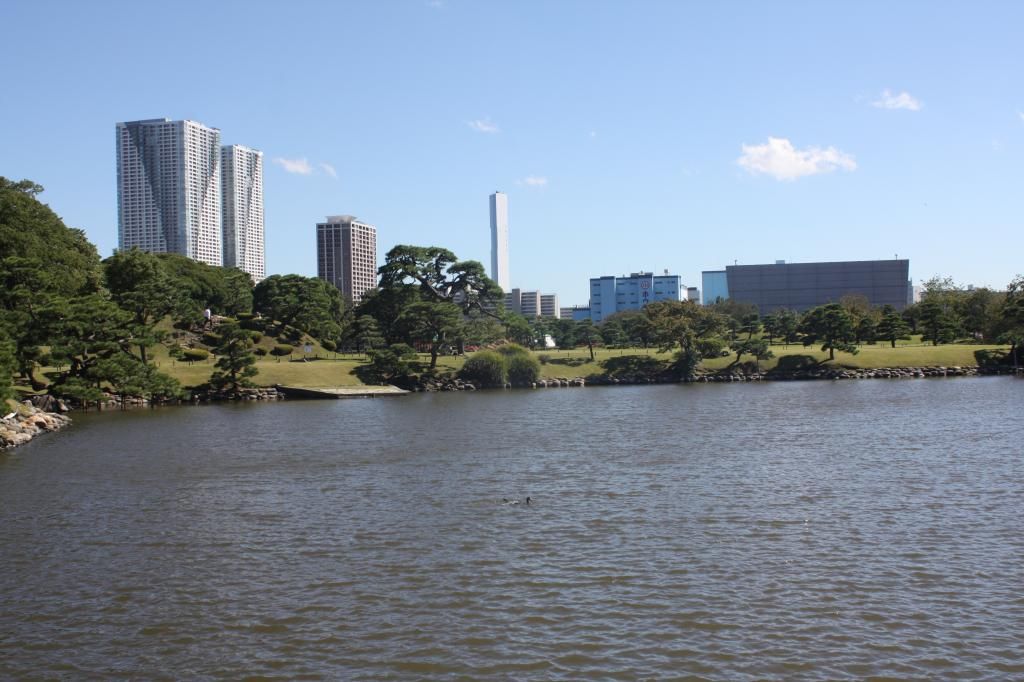 9: Hama Rikyu gardens, Torre de Tokyo - 5 semanas en Japón (2)