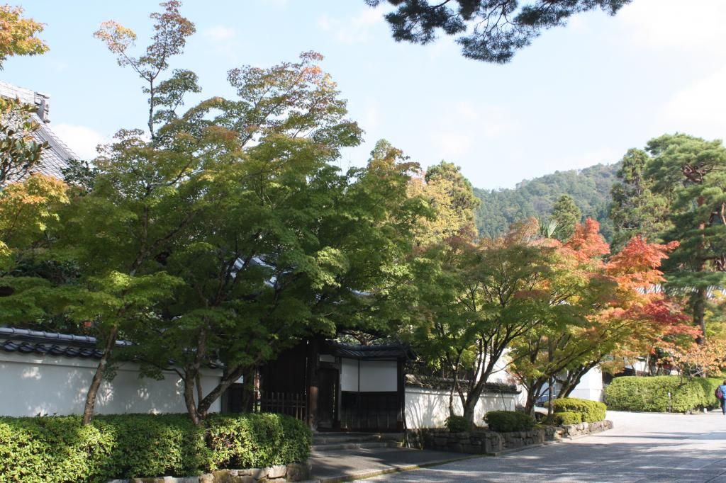 31: Templo de la plata y camino del filósofo - 5 semanas en Japón (16)