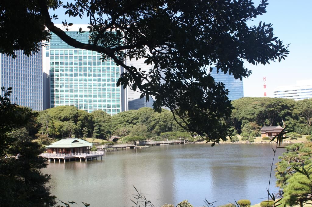9: Hama Rikyu gardens, Torre de Tokyo - 5 semanas en Japón (1)