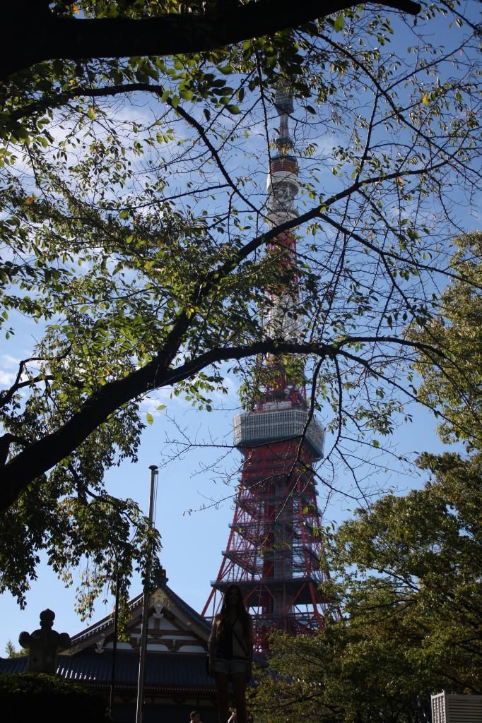 9: Hama Rikyu gardens, Torre de Tokyo - 5 semanas en Japón (9)