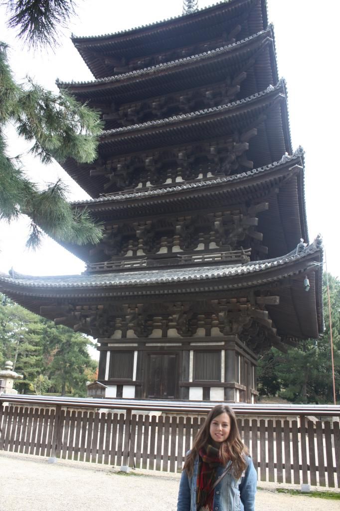 33: Nara y Fushimi Inari - 5 semanas en Japón (2)