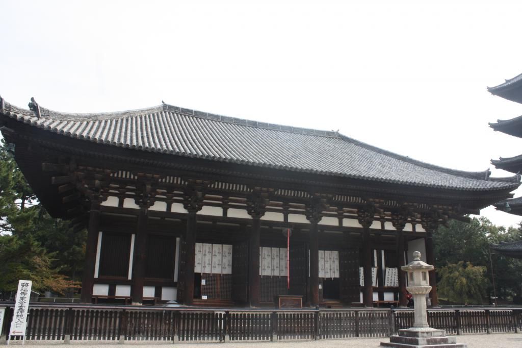 33: Nara y Fushimi Inari - 5 semanas en Japón (4)
