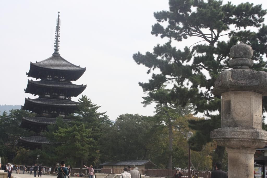 33: Nara y Fushimi Inari - 5 semanas en Japón (5)