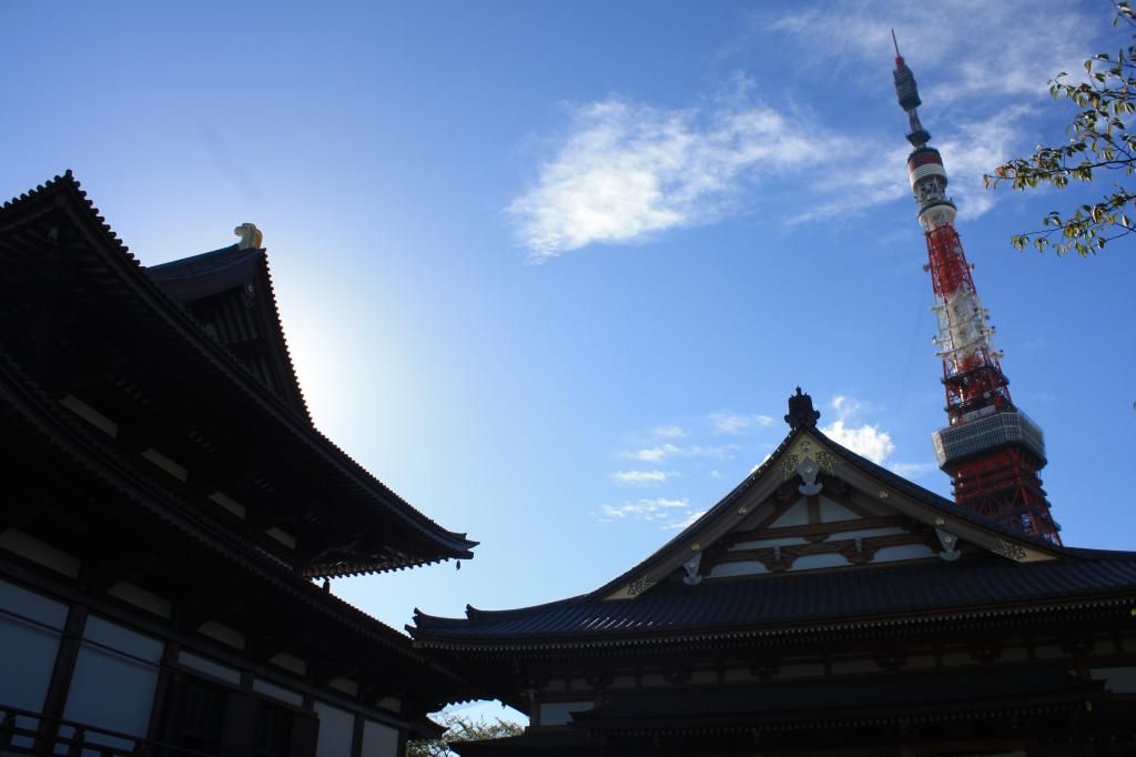 9: Hama Rikyu gardens, Torre de Tokyo - 5 semanas en Japón (8)