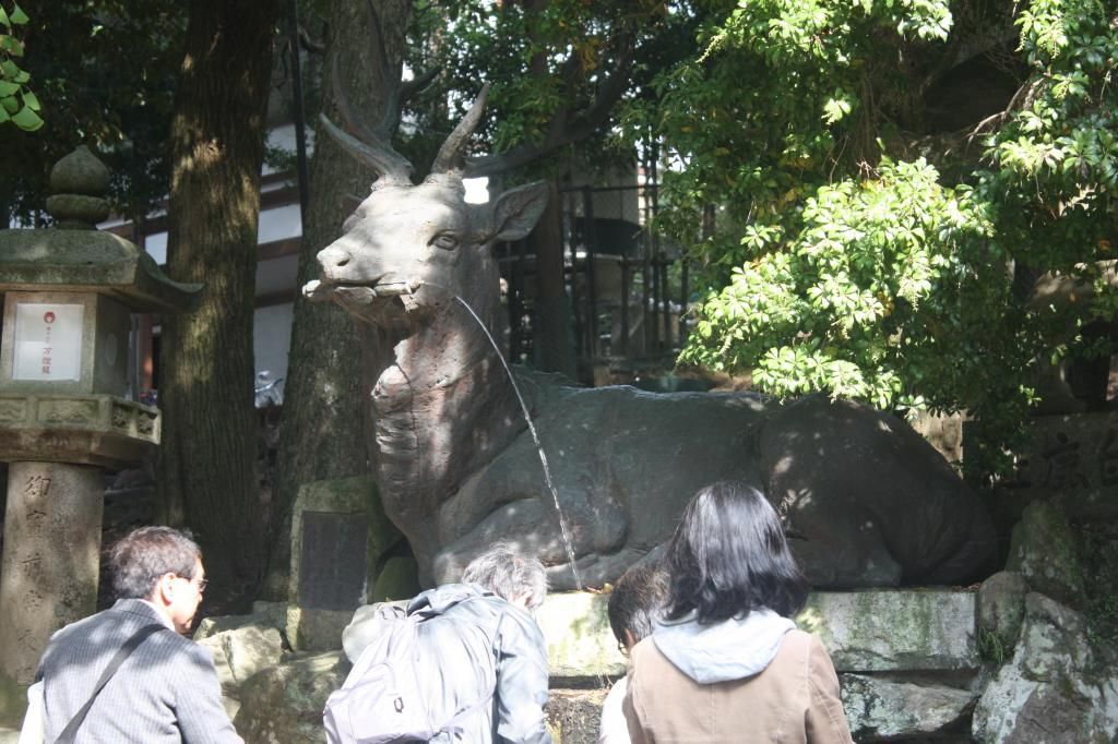 33: Nara y Fushimi Inari - 5 semanas en Japón (10)