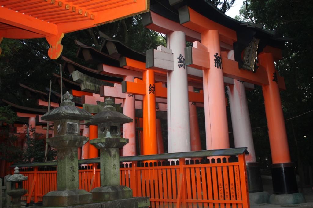 33: Nara y Fushimi Inari - 5 semanas en Japón (16)