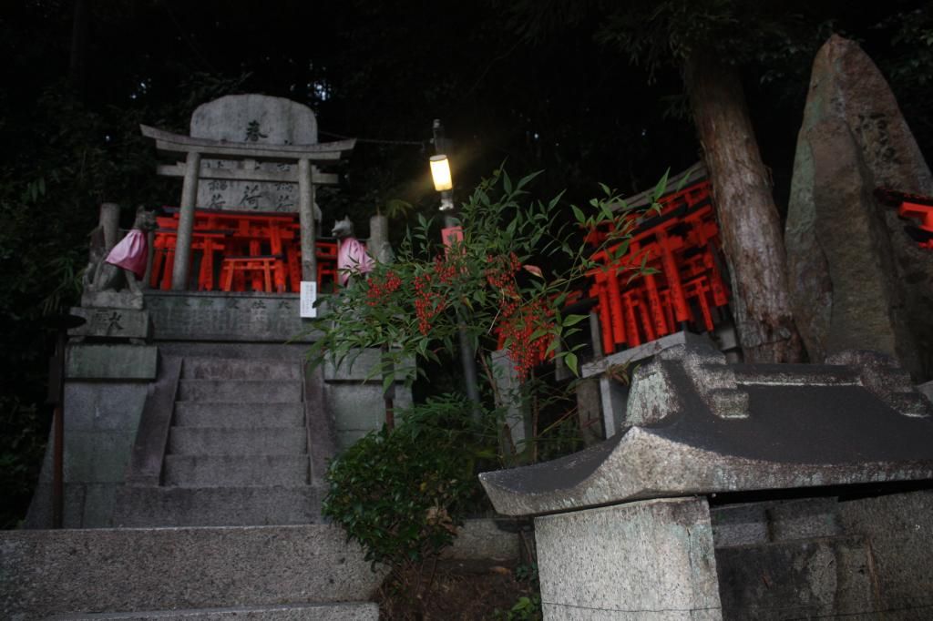 33: Nara y Fushimi Inari - 5 semanas en Japón (23)