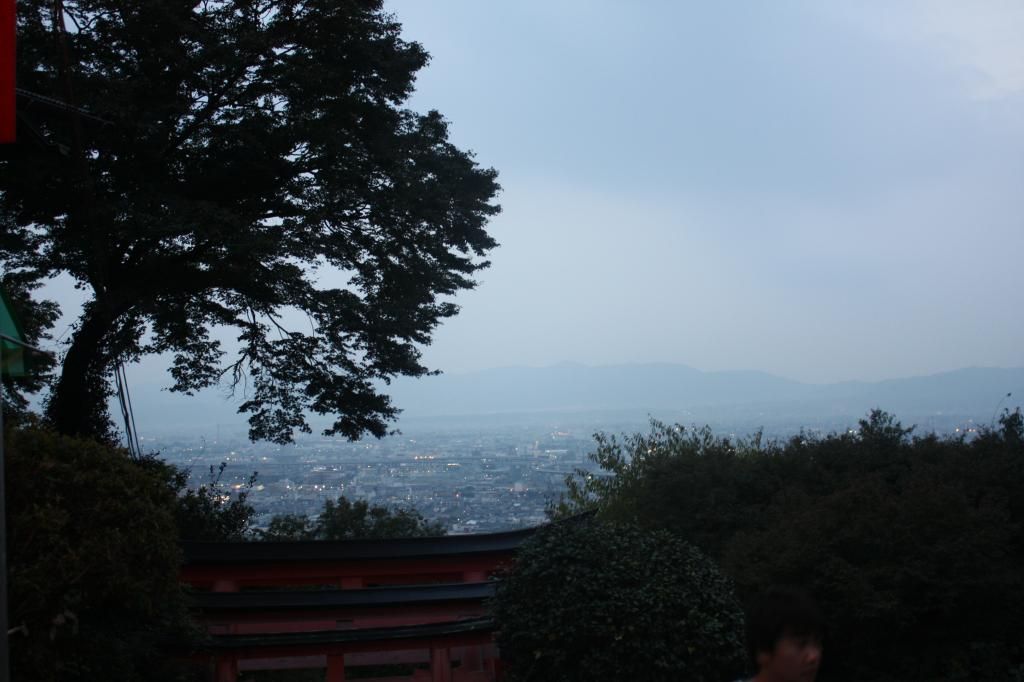33: Nara y Fushimi Inari - 5 semanas en Japón (19)