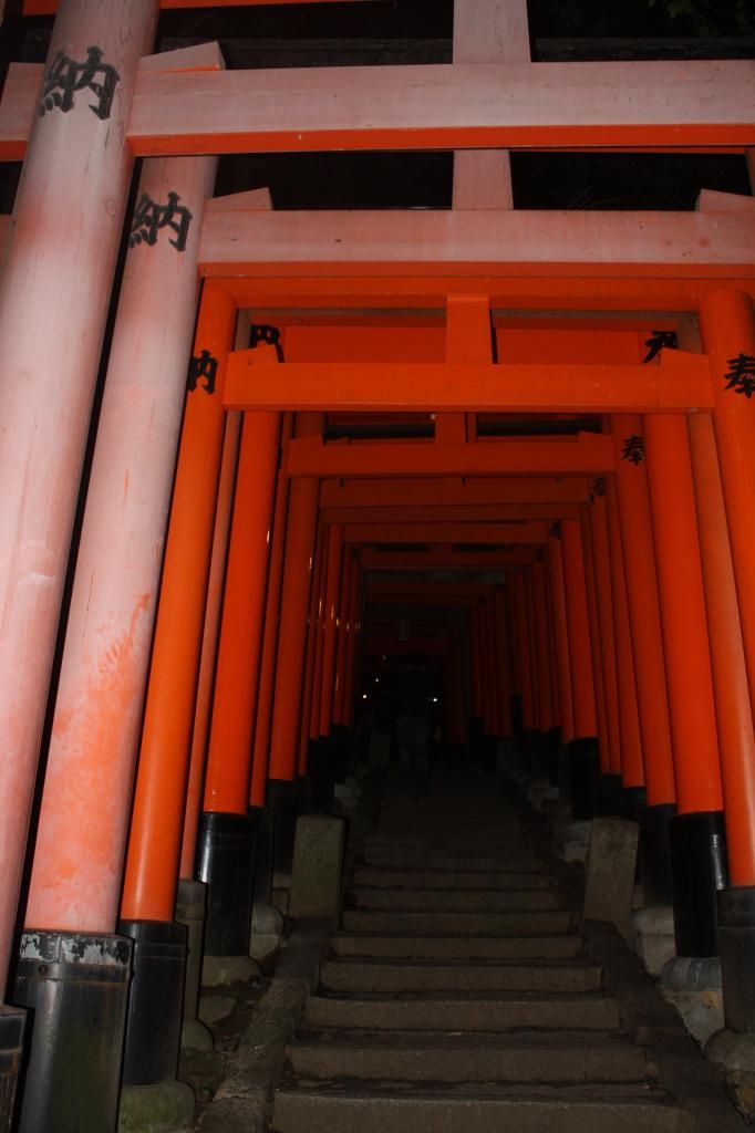 33: Nara y Fushimi Inari - 5 semanas en Japón (18)