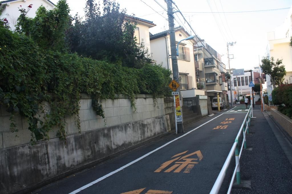 5 semanas en Japón - Blogs de Japon - 4: Takadanobaba  y recomendaciones de compras (1)