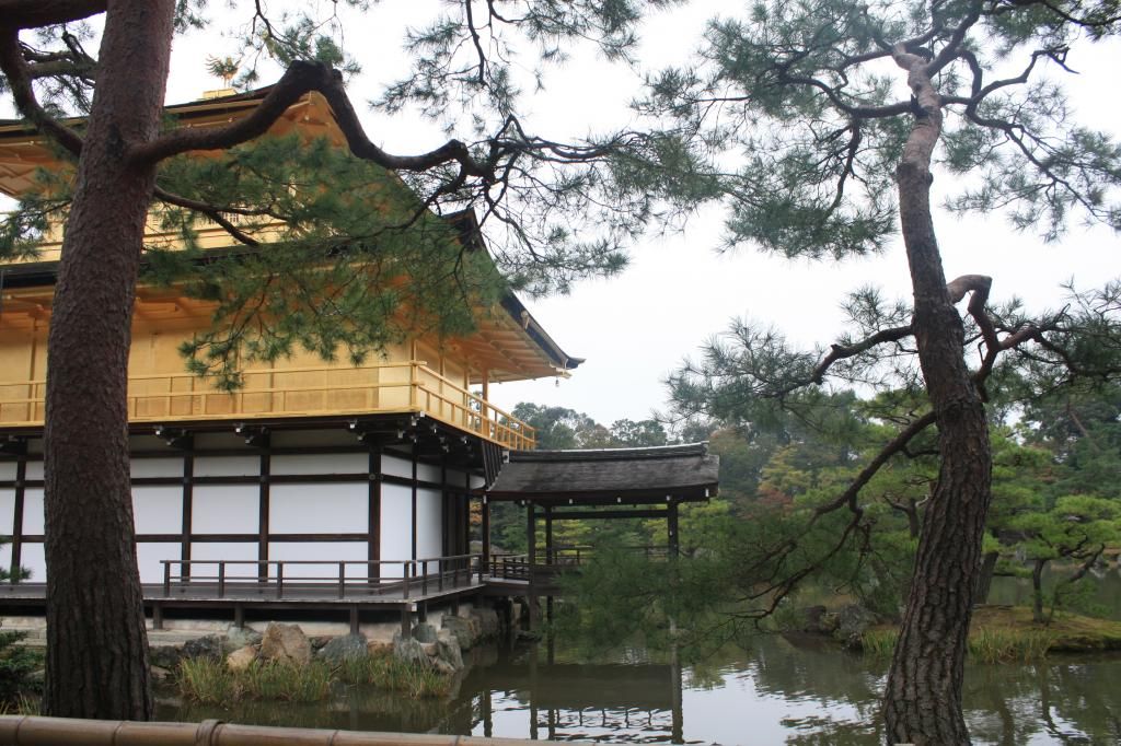 34: Templo del oro, kenninji y danzas de Otoño - 5 semanas en Japón (3)