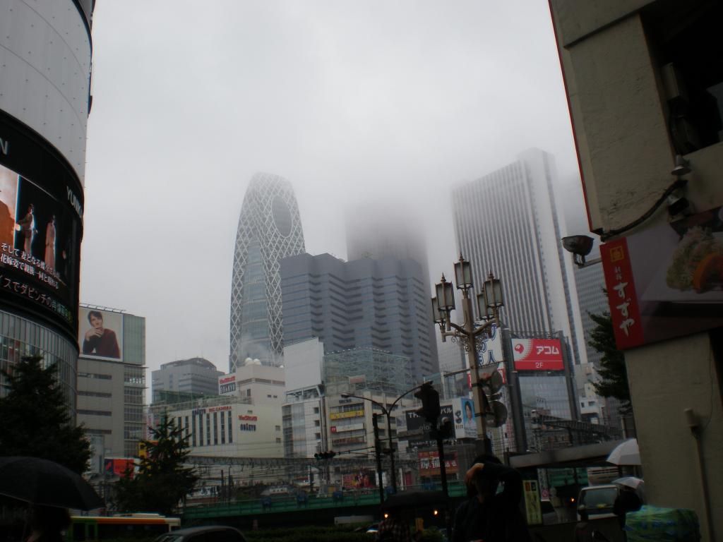 5 semanas en Japón - Blogs de Japon - 3: Shinjuku (3)