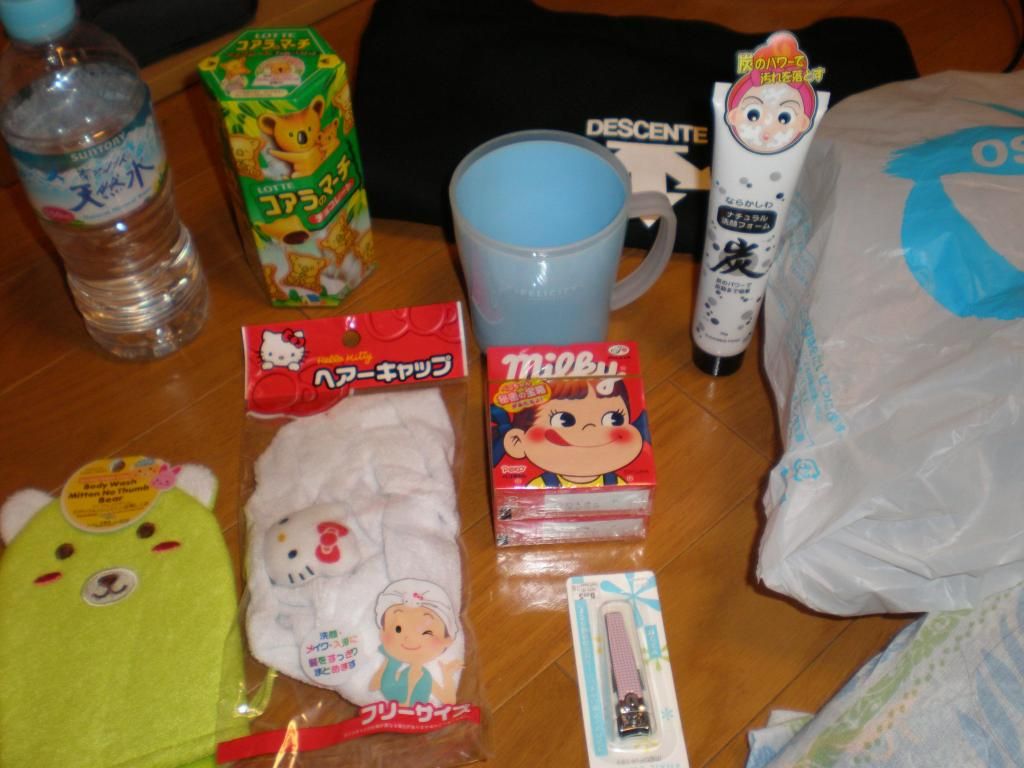 5 semanas en Japón - Blogs de Japon - 4: Takadanobaba  y recomendaciones de compras (2)