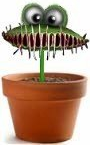 flytrap Avatar