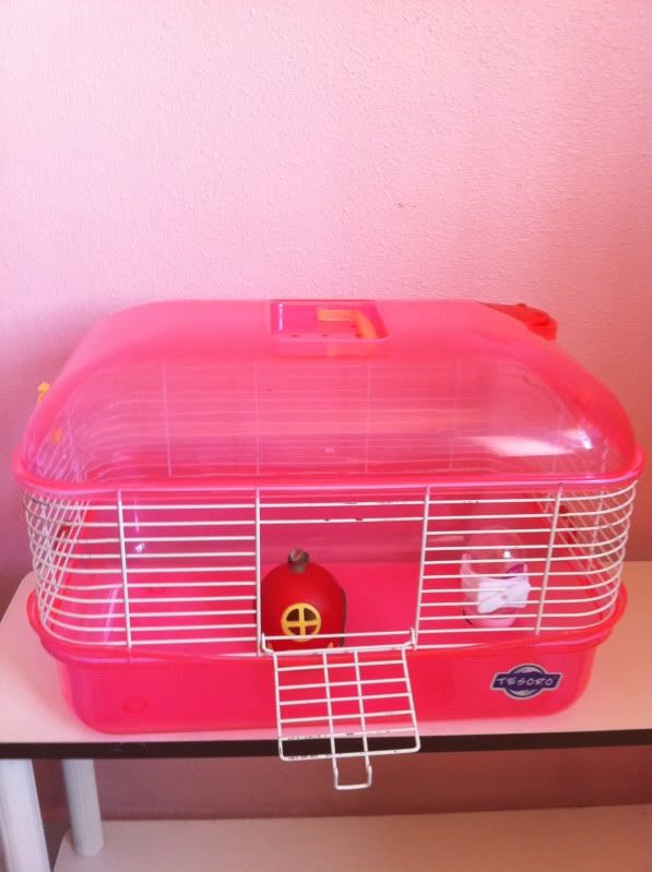 cute hamsters cages