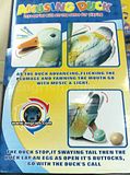 amusingduck2.jpg image by TheRainDesign