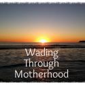 Wading Through Motherhood