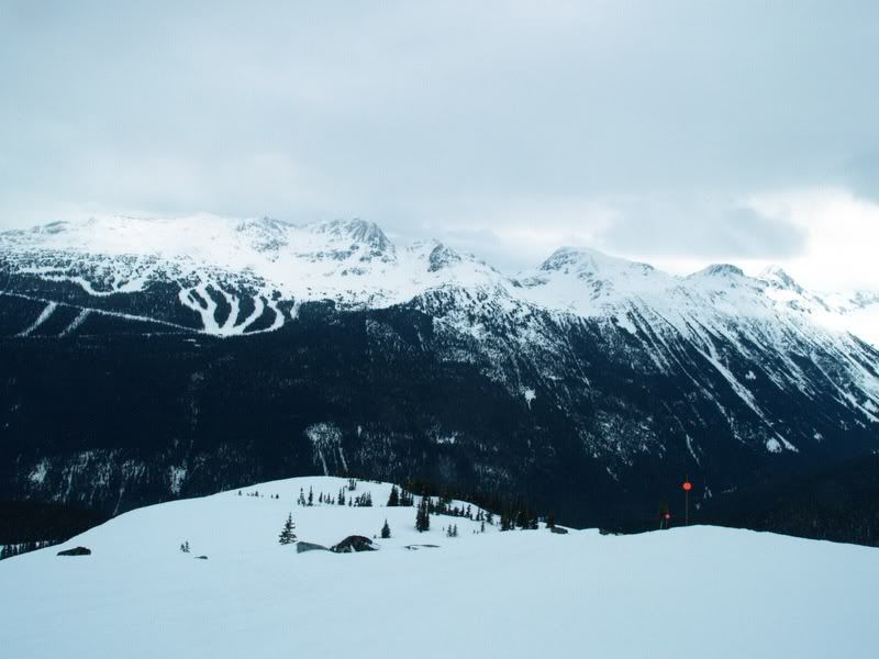 blackcombfromwhistler1.jpg