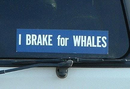brake_for_whales.jpg