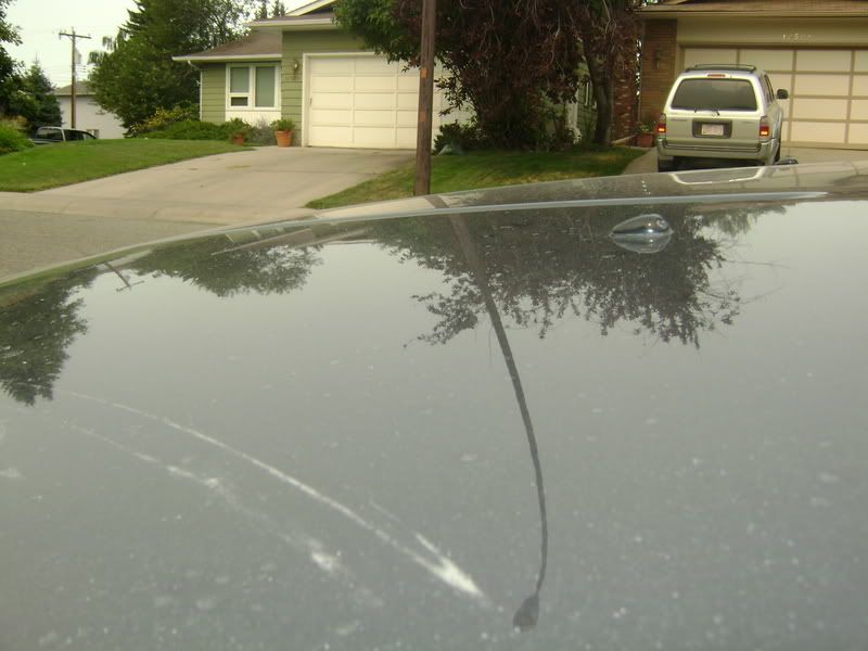 car145.jpg