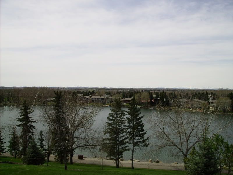 IMGP0310.jpg