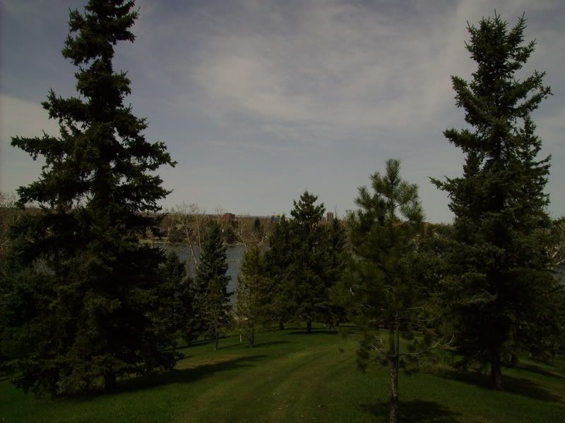 IMGP0317.jpg