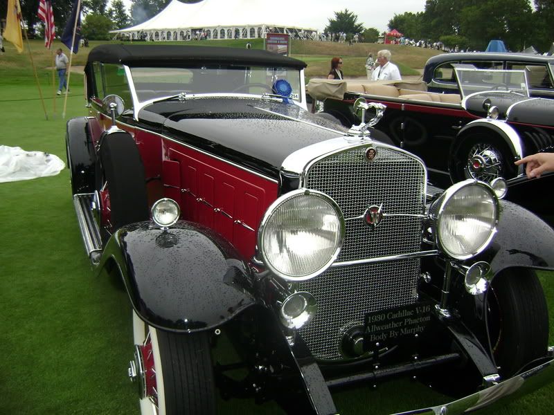 DSC00141.jpg