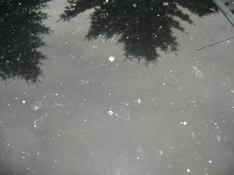 parkaveandaltima019.jpg