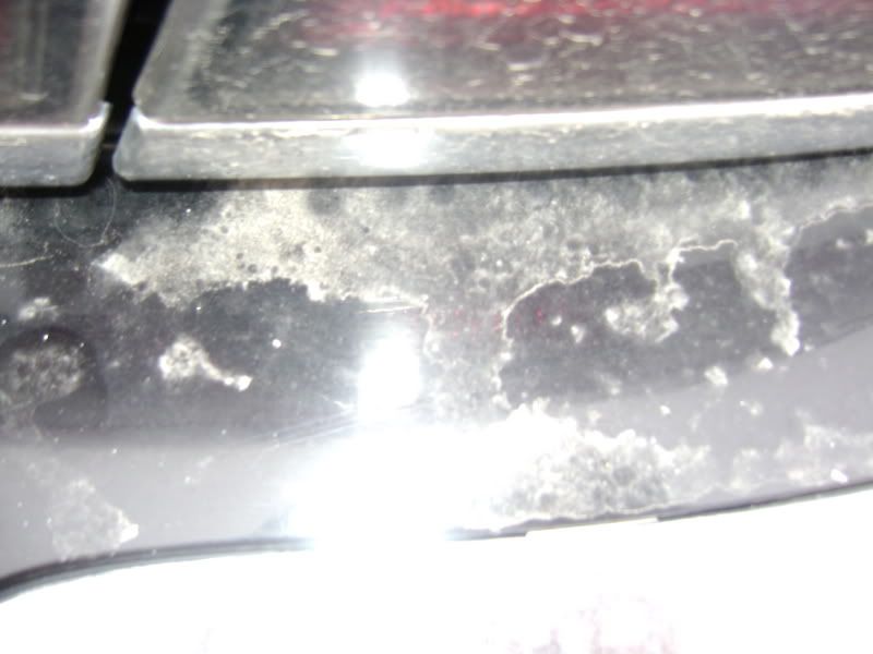 parkaveandaltima020.jpg
