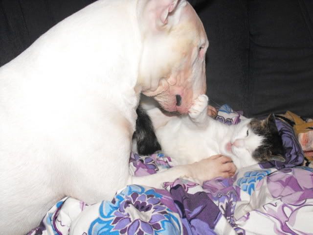 DSCF1620.jpg