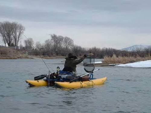 [Image: JoniSpringfield500.jpg]