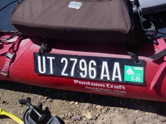 [Image: Cardiac12.jpg]