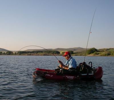 [Image: IMGP3475400.jpg]