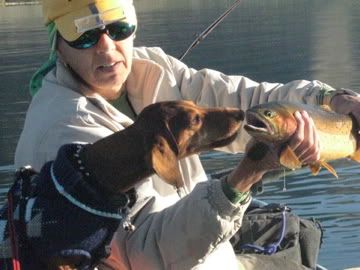 [Image: IMG_0521.jpg]