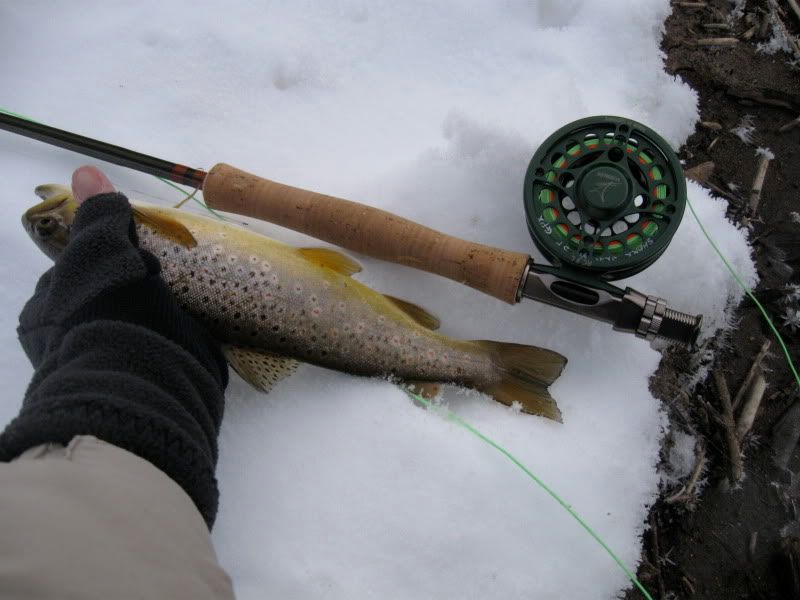 [Image: IMG_2309.jpg]