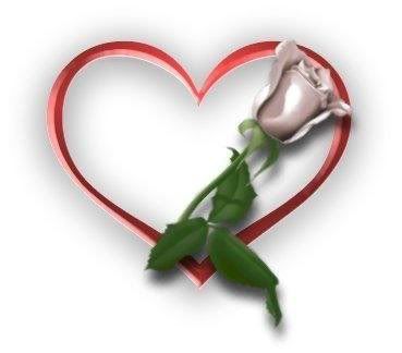 Heart N Rose Pictures, Images and Photos