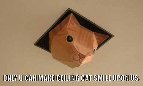 buy crossover 14 make ceiling cat smile upon us