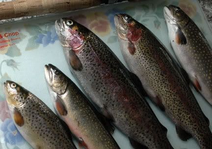 Image hosting by Photobucket