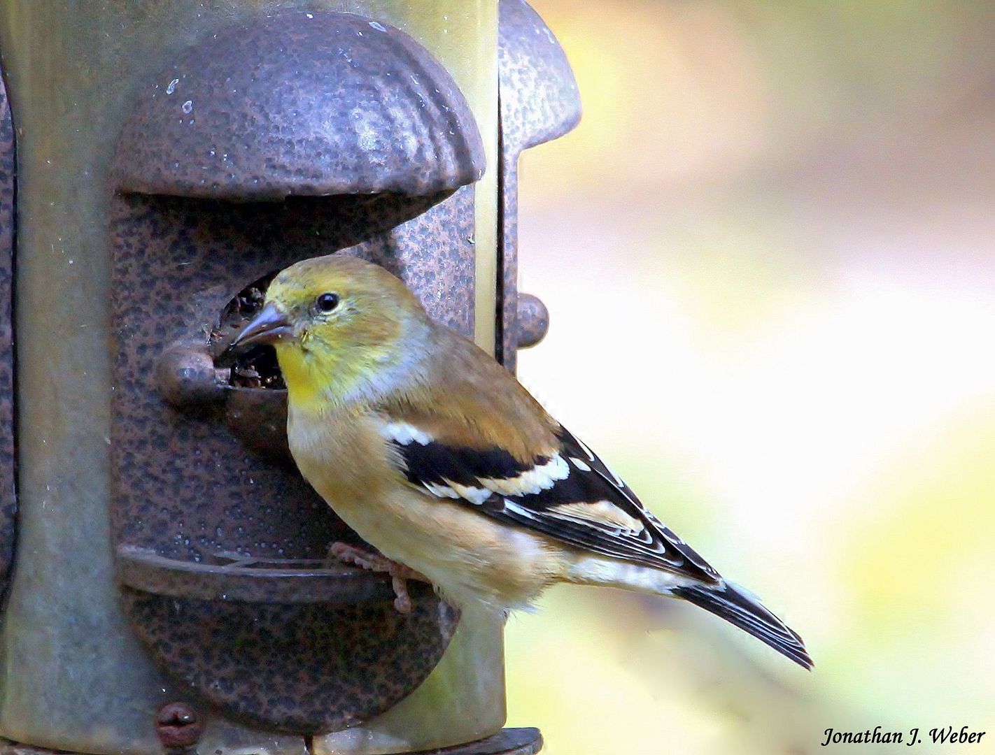 IMAGE: http://i44.photobucket.com/albums/f2/Jonathan64/IMG_06912.jpg