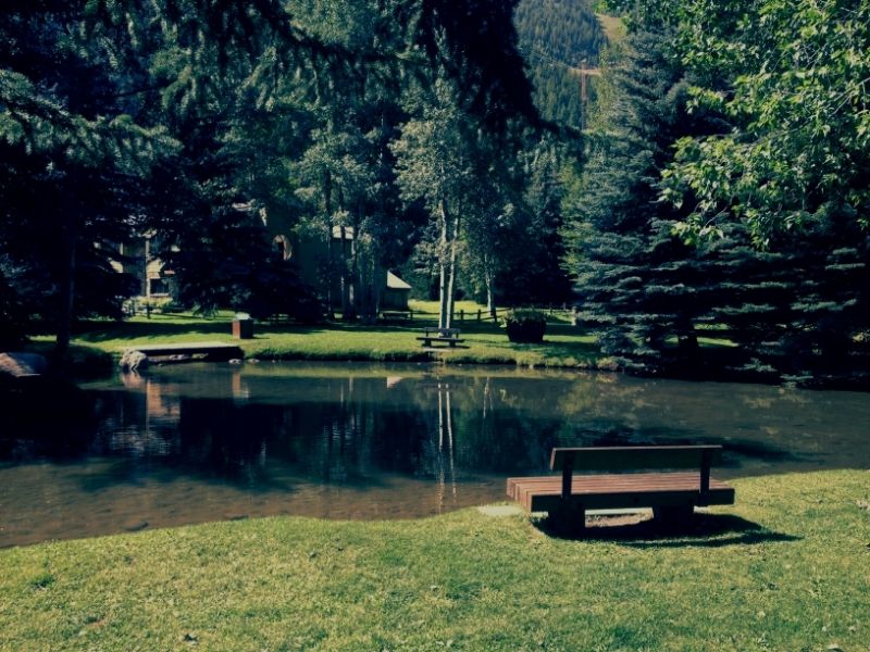  photo 8afa43bf-3db0-4bfc-974e-7a98f963d47f.jpg