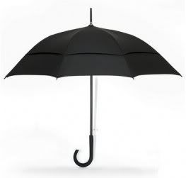 An Open Umbrella