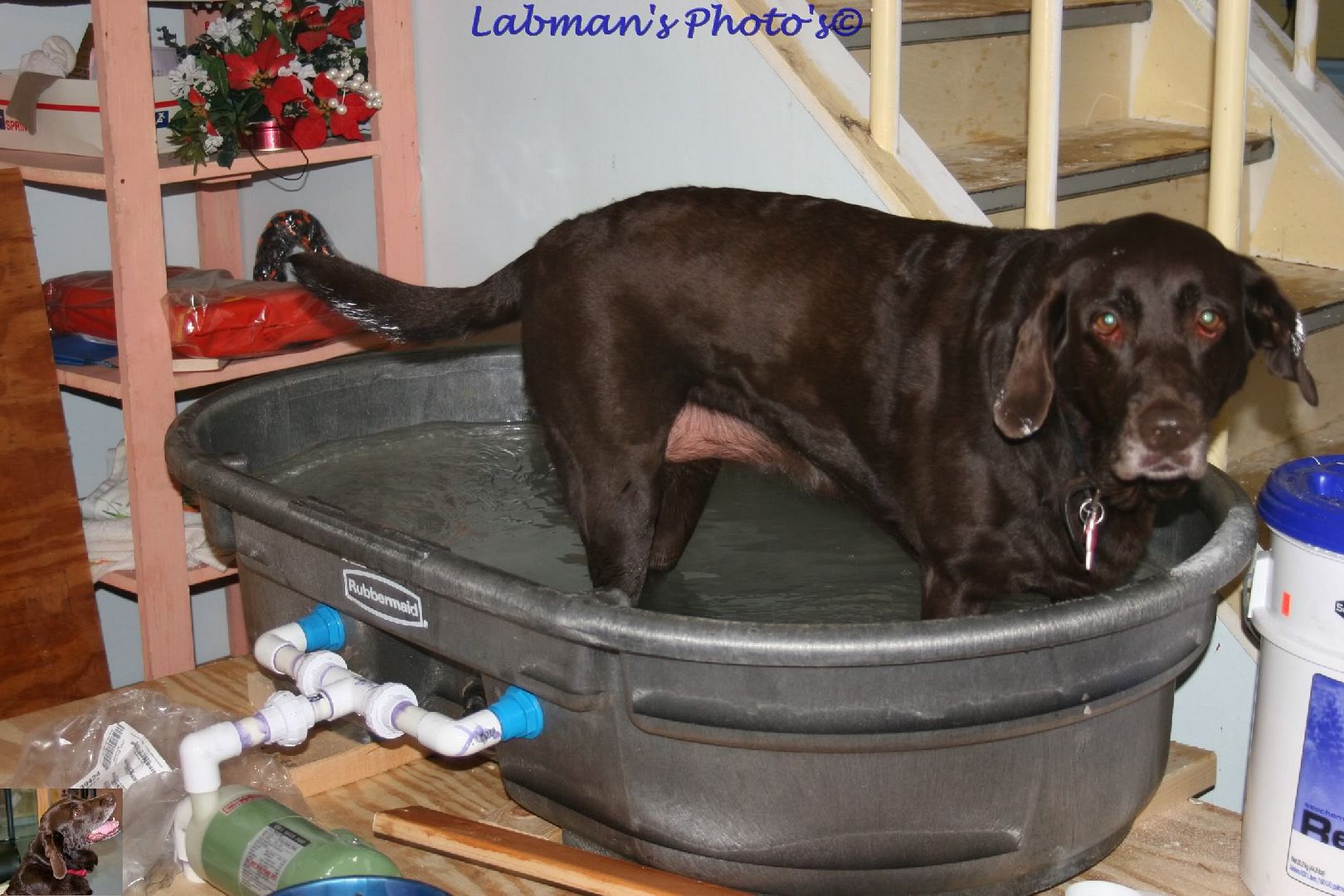 mixingtub - Labman's 194 Gallon Tank Redo