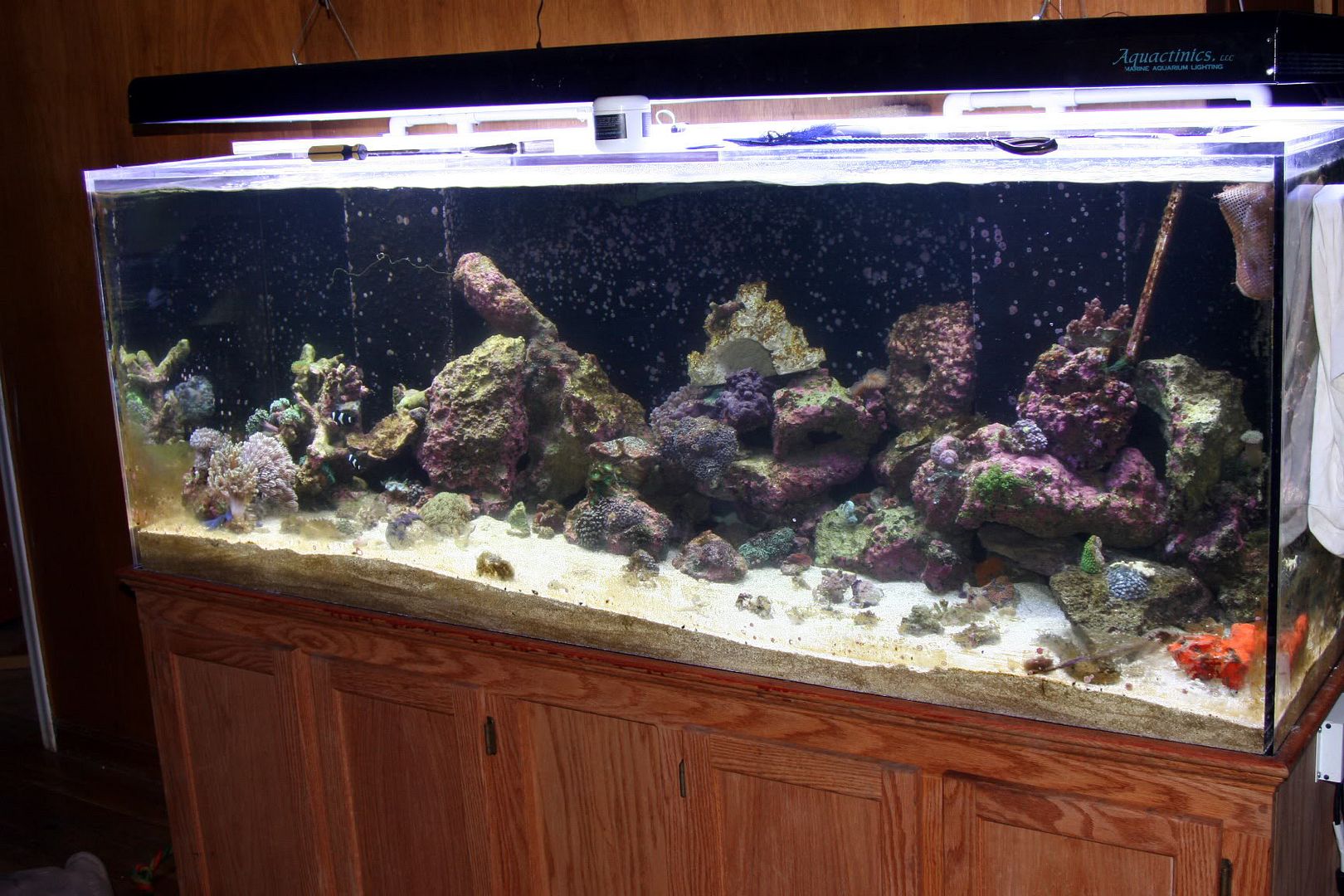 my194 - Labman's 194 Gallon Tank Redo