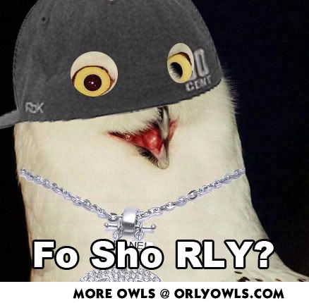 FoShoRly.jpg