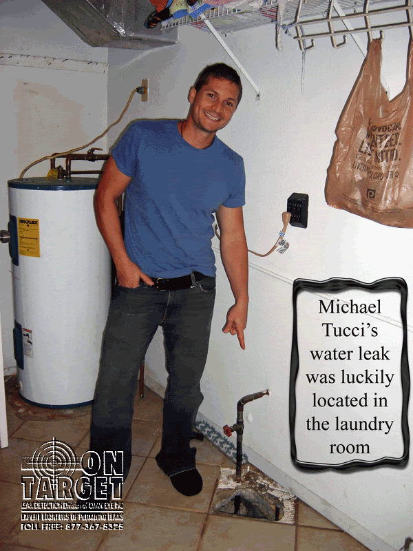 Michael_Tucci.gif Leak located at tee fitting under floor. image by OnTarget_01